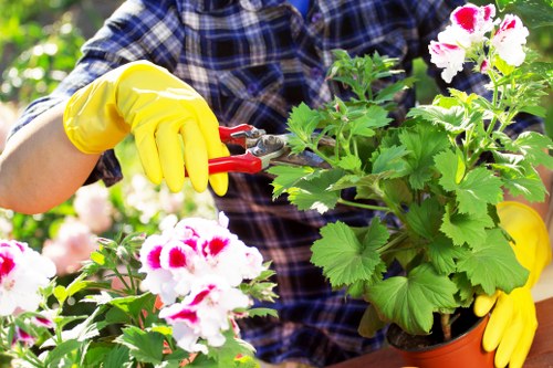 Garden safety policy introduction for gardeners in Coulsdon