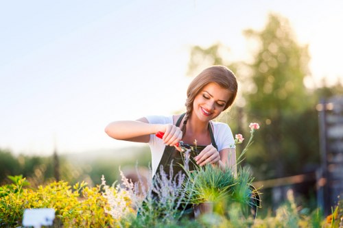 Local gardeners in Coulsdon creating a healthy and attractive garden