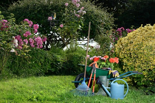 Safe tree surgery service in Coulsdon