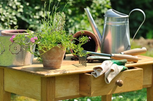 Seasonal garden care in Coulsdon with lawn and borders