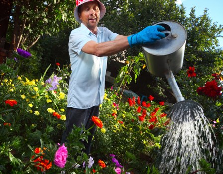 Local garden maintenance and planting in Coulsdon