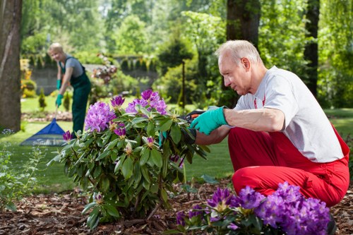 Autumn lawn maintenance in Coulsdon preparing grass for winter