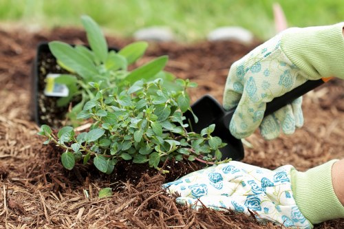 Graphic showing website cookie categories for a Coulsdon gardening service