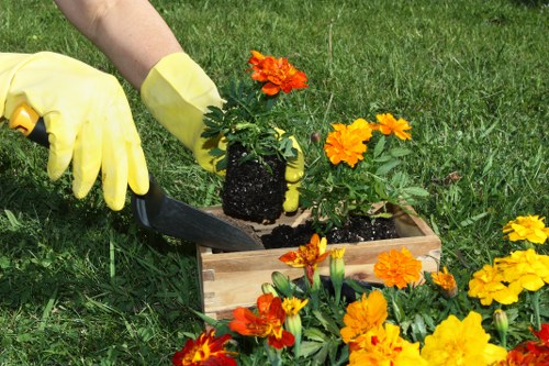Professional garden care in Coulsdon with precise pruning and tidy borders
