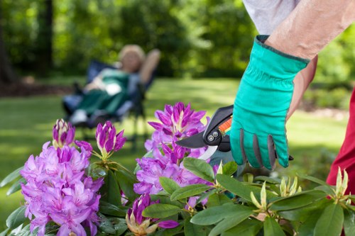 Garden clearance in Coulsdon with branches, leaves, and debris being removed