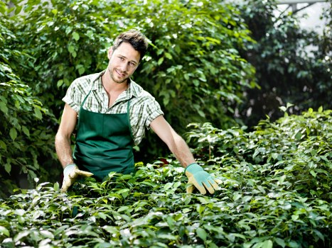 Sustainable recycling and waste separation for Coulsdon gardens