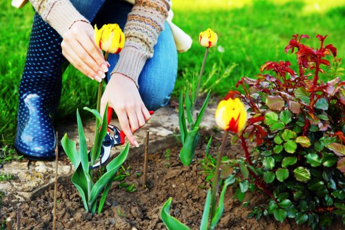 Free quote policy for garden services in Coulsdon