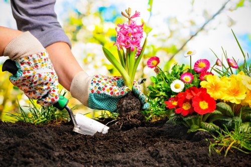 Image symbolising analytics and performance monitoring for garden website usage