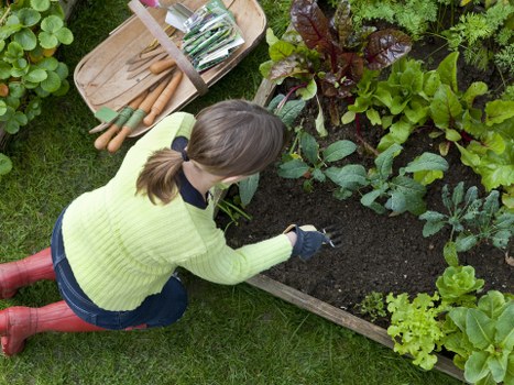 Final step in a gardener complaints procedure
