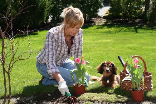 Local lawn mowing maintenance for a Coulsdon property